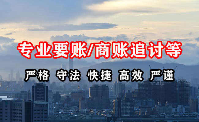 海丰清债公司